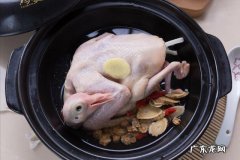 喝鸽子汤有什么好处？鸽子的营养价值有哪些？