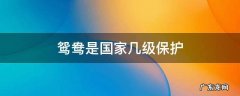 鸳鸯是国家几级保护动物 鸳鸯是国家几级保护