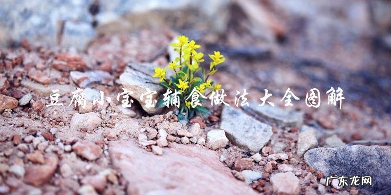 豆腐小宝宝辅食做法大全图解,让你的宝宝健康成长!
