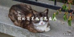 如何画猫的简笔画？