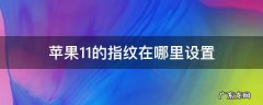 苹果11在哪儿设置指纹 苹果11的指纹在哪里设置