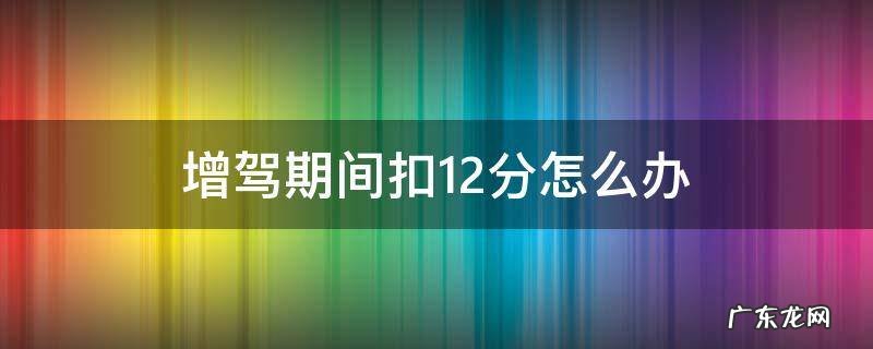 增驾期间扣12分怎么办 增驾期间被扣12分
