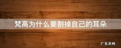 梵高为什么要割掉自己的耳朵 梵高