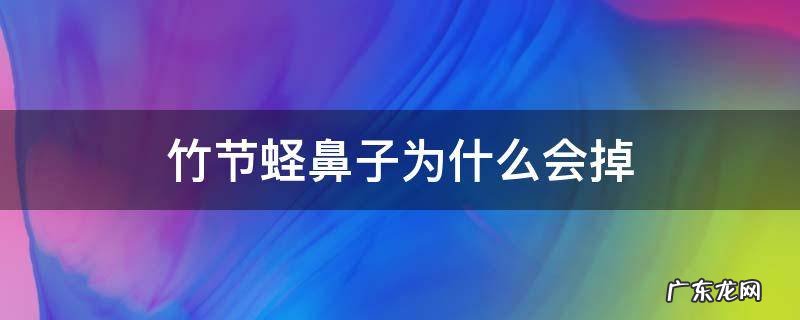 竹节蛏鼻子为什么会掉 竹节蛏死了是什么样子