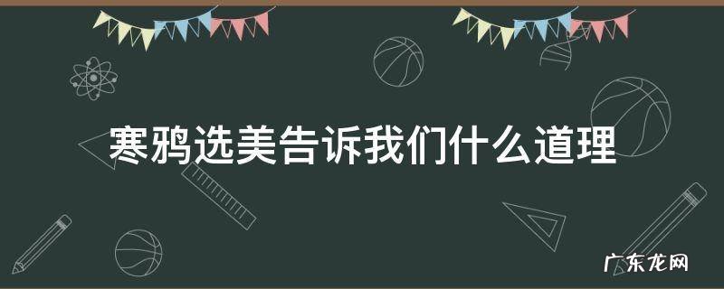 寒鸦选美告诉我们什么道理 寒鸦选美告诉我们一个什么道理