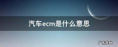 汽车ECM是什么意思啊 汽车ecm是什么意思