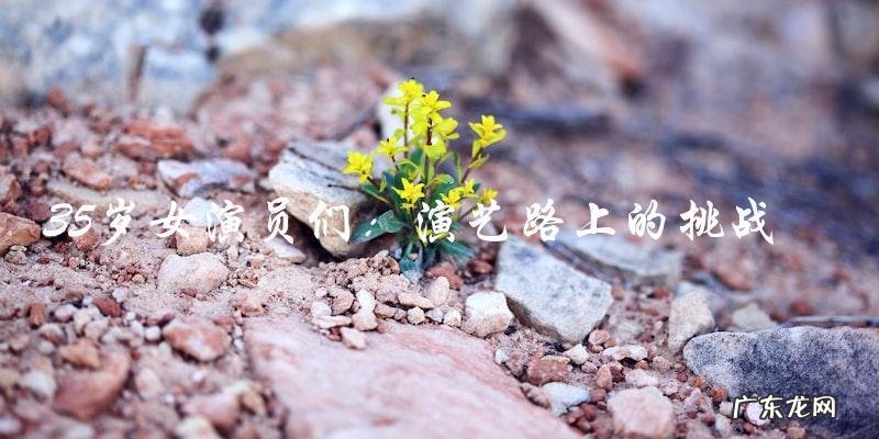 35岁女演员们,她们的演艺路上会遇到什么挑战?