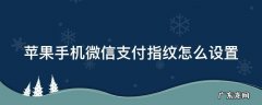 苹果手机微信支付指纹怎么设置密码 苹果手机微信支付指纹怎么设置
