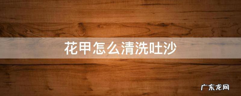 花甲怎么清洗吐沙 花甲如何清洗吐沙