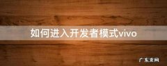 如何进入开发者模式vivo 如何进入开发者模式oppo