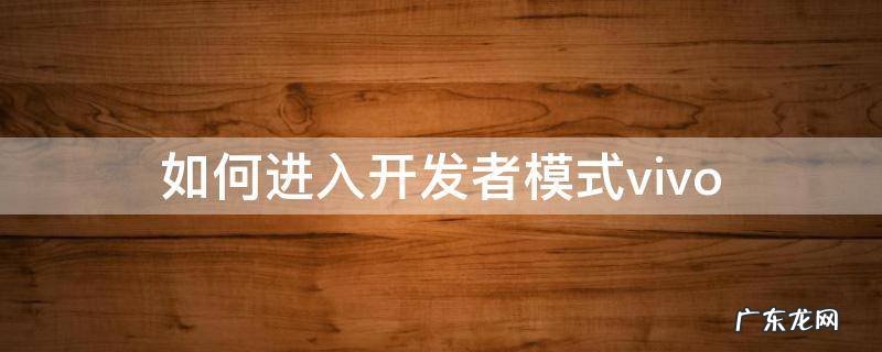 如何进入开发者模式vivo 如何进入开发者模式oppo