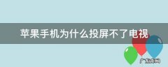苹果手机为什么投屏不了电视tv 苹果手机为什么投屏不了电视