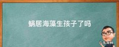 蜗居海藻生孩子了吗 蜗居海藻的孩子怎么流产的