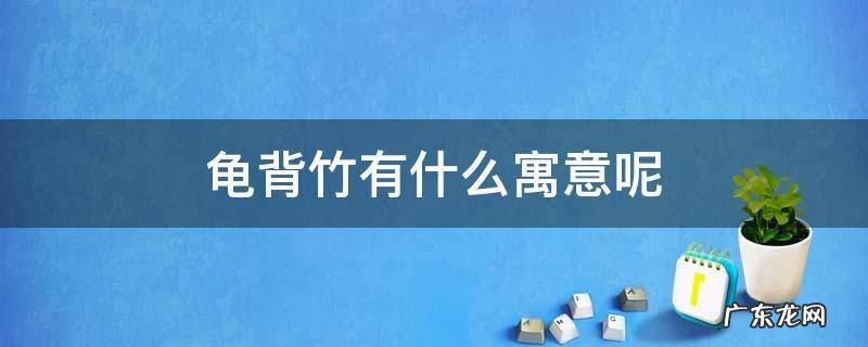 龟背竹有啥寓意 龟背竹有什么寓意呢