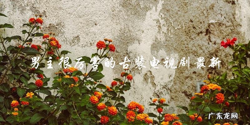 男主一身绝世武功,古装电视剧最新一集,他将面对怎样的挑战?