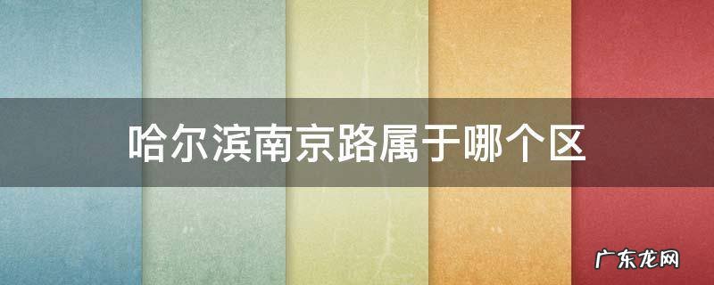 哈尔滨南京路属于哪个区 黑龙江省哈尔滨市南京路是哪个区