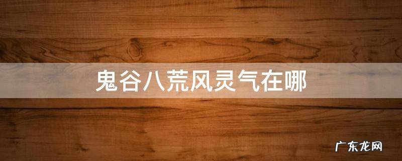 鬼谷八荒风灵气在哪 鬼谷八荒天风灵气在哪