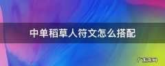 英雄联盟稻草人符文 中单稻草人符文怎么搭配