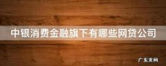 中银消费金融旗下的网贷有哪些 中银消费金融旗下有哪些网贷公司