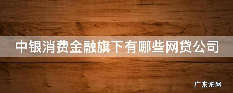 中银消费金融旗下的网贷有哪些 中银消费金融旗下有哪些网贷公司