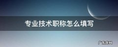 专业技术职称怎么填写 专业技术资格怎么填