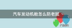 发动机舱怎样防老鼠 汽车发动机舱怎么防老鼠