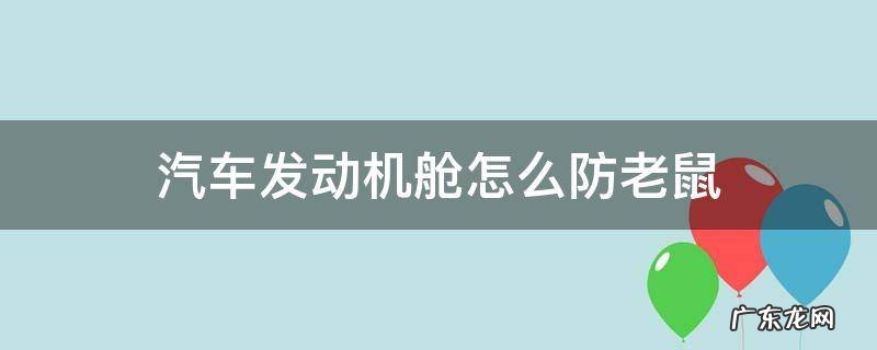 发动机舱怎样防老鼠 汽车发动机舱怎么防老鼠