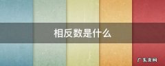 相反数是什么 一的相反数是什么