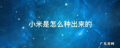 小米是怎么种出来的 小米种出来什么样子的