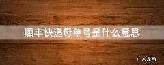 顺丰的母单号是什么 顺丰快递母单号是什么意思
