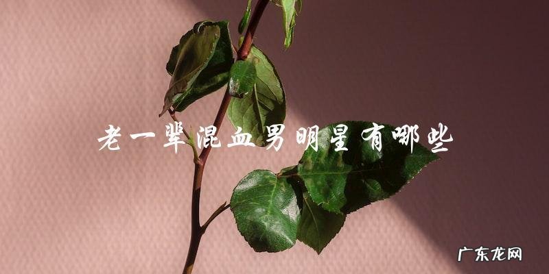 老一辈混血男明星,你猜得出几个名字?