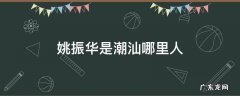 姚振华是潮汕哪里人 姚振华是汕头哪里人