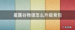 星露谷物语怎么升级背包容量 星露谷物语怎么升级背包