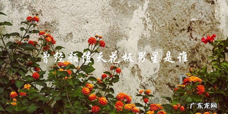 他曾经是颜值天花板,如今却黯然失色,你猜是谁?