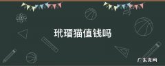玳瑁猫值钱吗