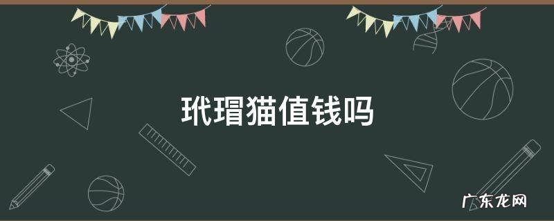 玳瑁猫值钱吗