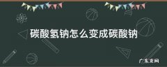 碳酸氢钠怎么变成碳酸钠?(写出方程式 碳酸氢钠怎么变成碳酸钠
