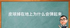为什么皮球总会掉 皮球掉在地上为什么会弹起来