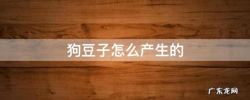 狗豆子怎么繁殖 狗豆子怎么产生的