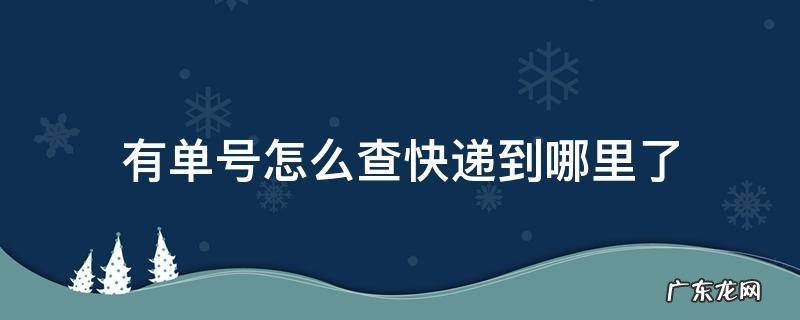 京东有单号怎么查快递到哪里了 有单号怎么查快递到哪里了