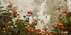 她们已经过了30岁，但这些女明星的魅力却越来越强大！