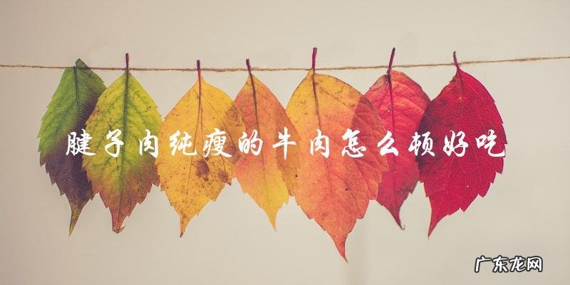 腱子肉纯瘦的牛肉怎么顿好吃