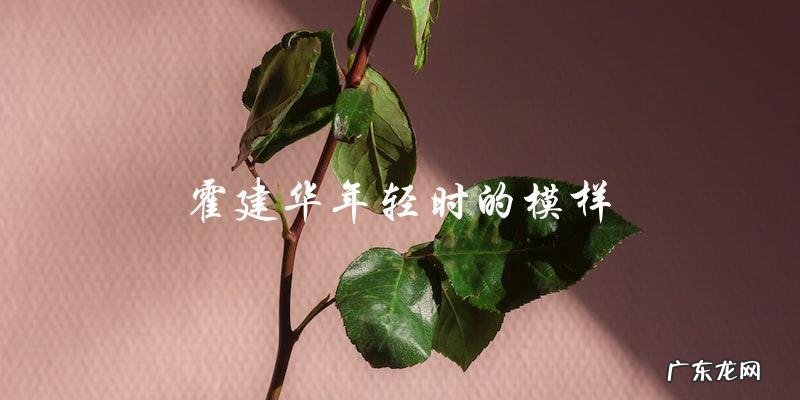 惊!霍建华年轻时竟然和肖战撞脸,两人真正身份曝光引发热议!