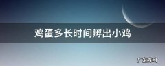 鸡蛋多长时间孵出小鸡 鸡蛋多长时间才能孵出小鸡