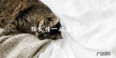 猫咪通常在几个月龄开始发情？