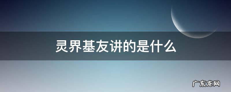 灵界基友讲的是什么