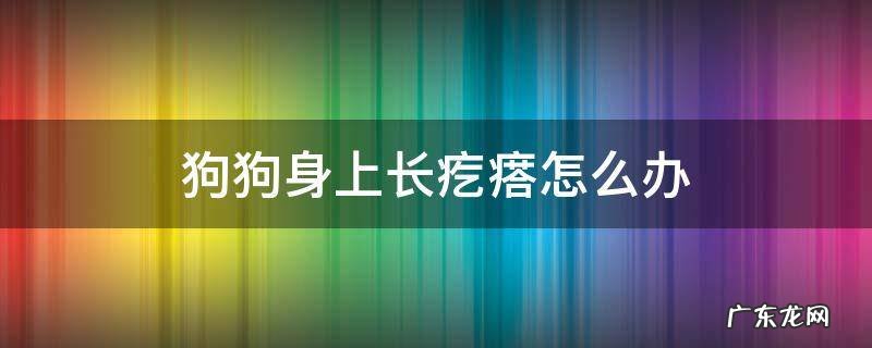 狗狗身上长疙瘩怎么办 狗狗身上长了疙瘩怎么办