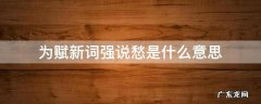 为赋新词强说愁是什么意思 爱上层楼为赋新词强说愁是什么意思