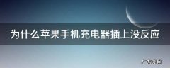 为什么苹果手机充电器插上没反应 为什么苹果手机充电器插上没反应了