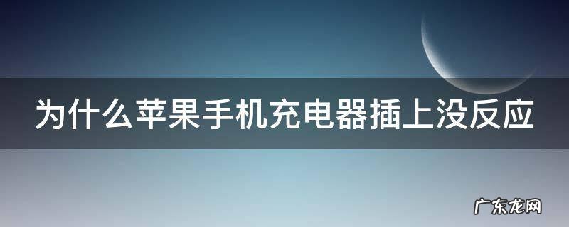 为什么苹果手机充电器插上没反应 为什么苹果手机充电器插上没反应了